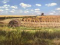 Harvest time Harvest time