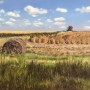 Harvest time Harvest time
