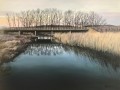 bridge over wetland bridge over wetland