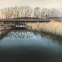 bridge over wetland bridge over wetland