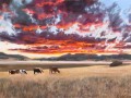 cows at sunset cows at sunset