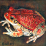 frog img 06 frog img 06